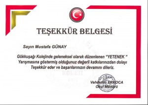 Teşekkür Belgesi   